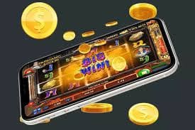 betin wim
